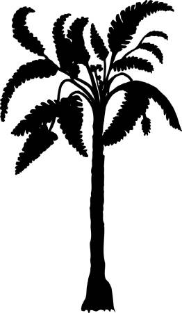 Prehistoryczna palma kokosowa - naklejki scienne - szablon malarski - kod ED532