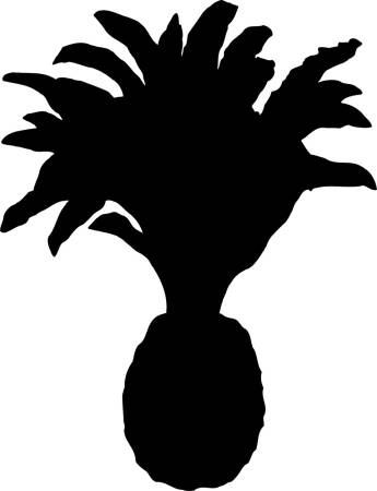 Prehistoryczny ananas - naklejki scienne - szablon malarski - kod ED534