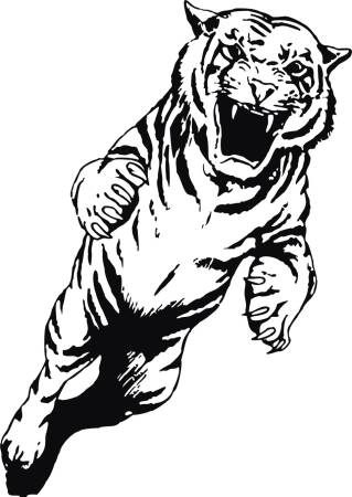 Gepard - pantera - tygrys - naklejki scienne - szablon malarski  - kod ED489