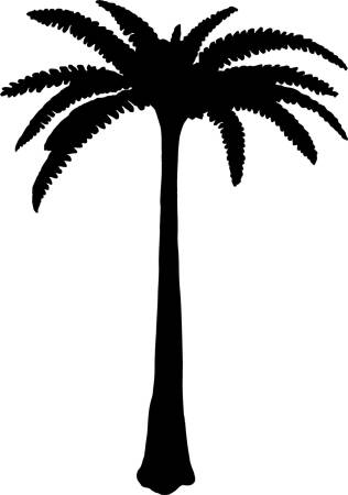 Prehistoryczna  palma - naklejki scienne - szablon malarski - kod ED531